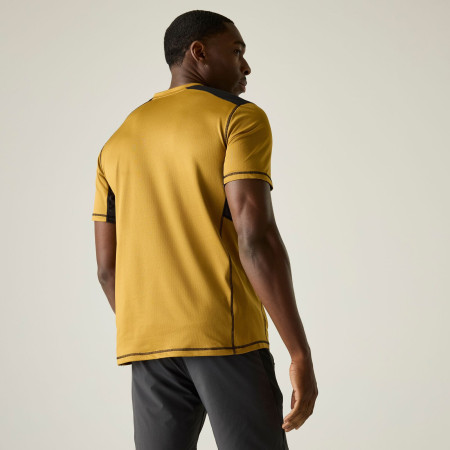 Чоловіча футболка Regatta Virda