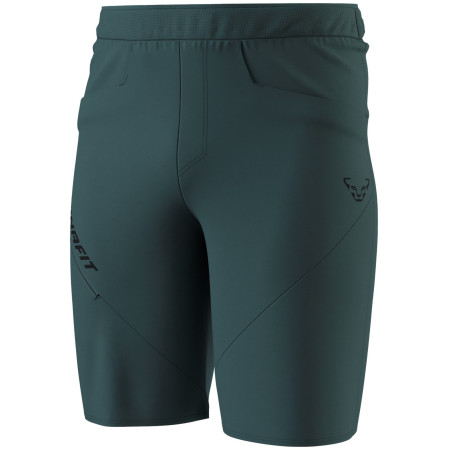 Чоловічі шорти Dynafit Traverse Hybrid Shorts M