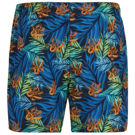 Плавки Regatta Loras Swim Short