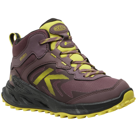 Дитяче взуття Keen Zionic Mid Wp Youth червоний huckleberry/mango mint