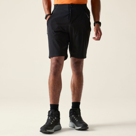 Чоловічі шорти Dare 2b Torrek Lite Short