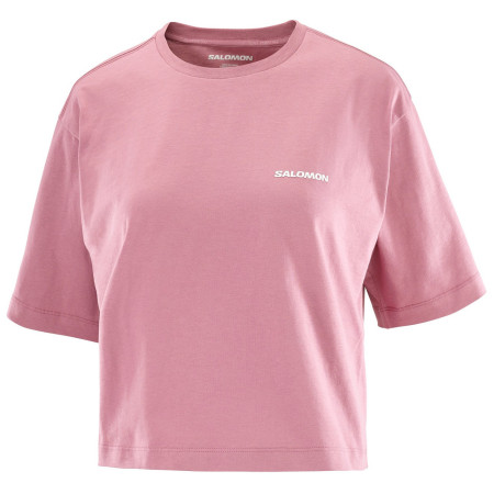 Жіноча футболка Salomon Short Tee