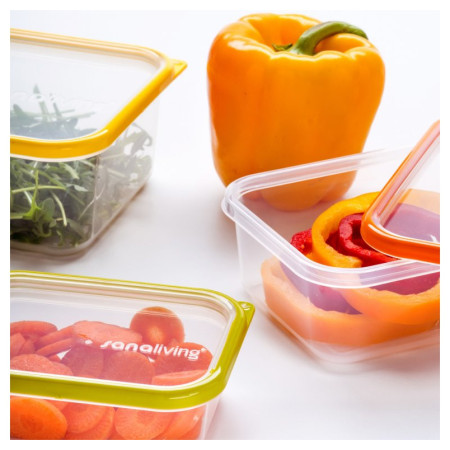 Контейнер для перекусу Omada Sanaliving Box Set 3x 19x14x9cm/1,3L