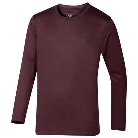 Дитячий функціональний комплект Dare 2b Pow II Baselayer Set Huckleberry