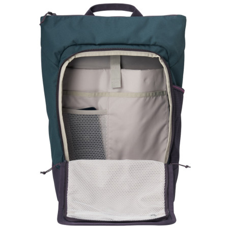Рюкзак Aevor Day Pack FLX