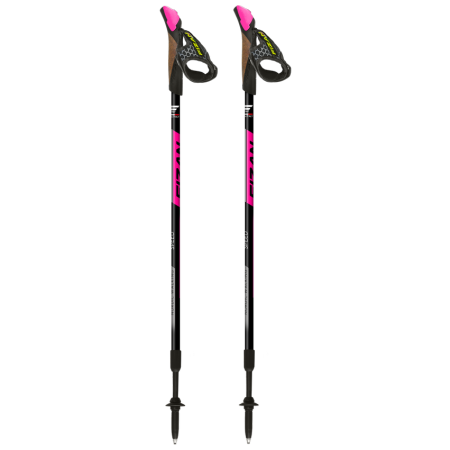 Палиці Fizan NW Speed