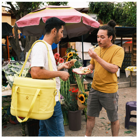 Термосумка Hydro Flask Carry Out Soft Cooler 20 L