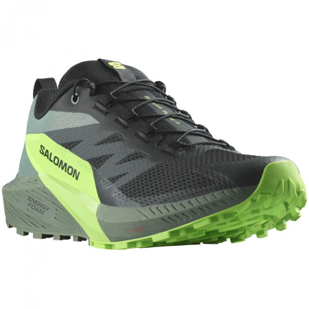 Чоловічі кросівки Salomon Sense Ride 5 чорний/зелений Black