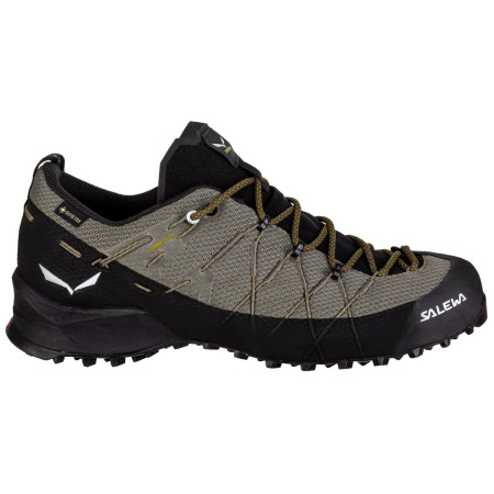 Чоловічі черевики Salewa Wildfire 2 Gtx M