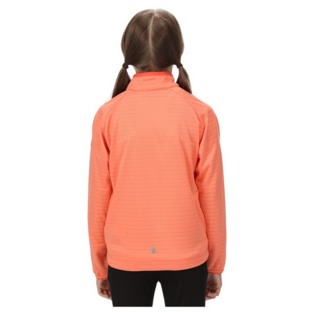 Дитяча толстовка Regatta Jnr Highton LteII