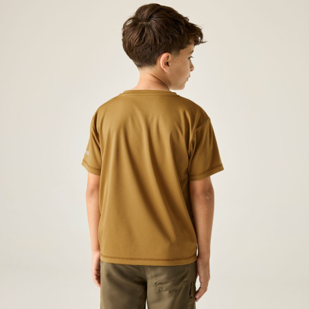 Дитяча футболка Regatta Alvarado Wood Brown