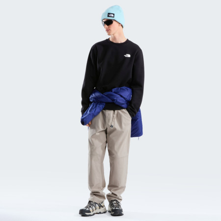 Чоловіча толстовка The North Face M Evolution Box Nse Regular Crew