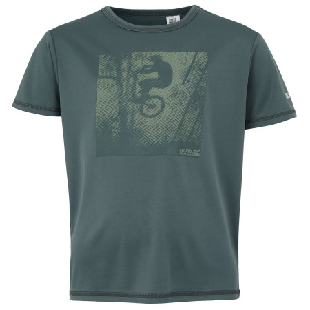 Дитяча футболка Regatta Alvarado IX