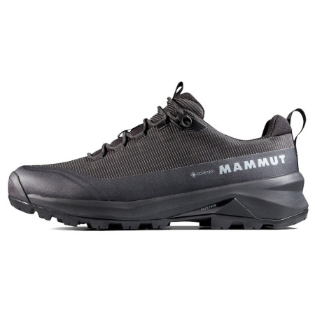 Чоловічі трекінгові черевики Mammut Ducan III Low GTX Men