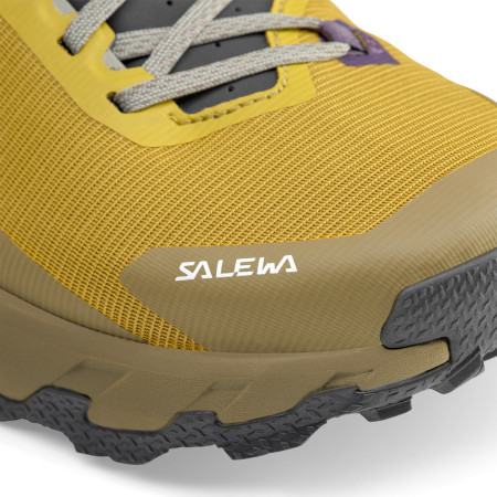 Чоловіче взуття Salewa Pedroc 2 Ptx M