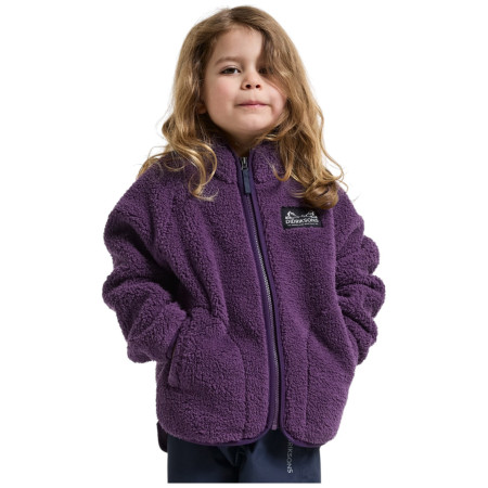 Дитяча толстовка Didriksons Gibbs Kids Fullzip 2 Northen Purple