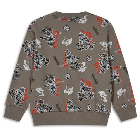 Дитяча толстовка Lego Wear Lwsian 715 Brown