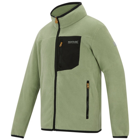 Дитяча толстовка Regatta Junior Frankie F/Z Light Sage