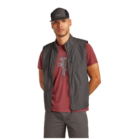 Чоловіча функціональна футболка Icebreaker M Mer Core SS Tee Tech Head