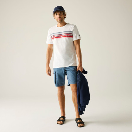 Чоловіча футболка Regatta Rendro