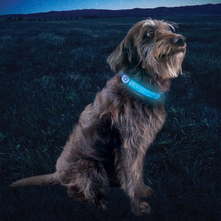 Світловий нашийник для собаки Nite Ize NiteDog® Rechargeable LED Collar Cover