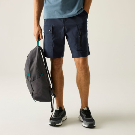 Чоловічі шорти Regatta Arlery Shorts