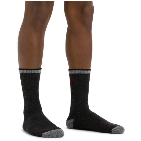 Чоловічі шкарпетки Darn Tough Hiker Micro Crew Midweight With Cushion