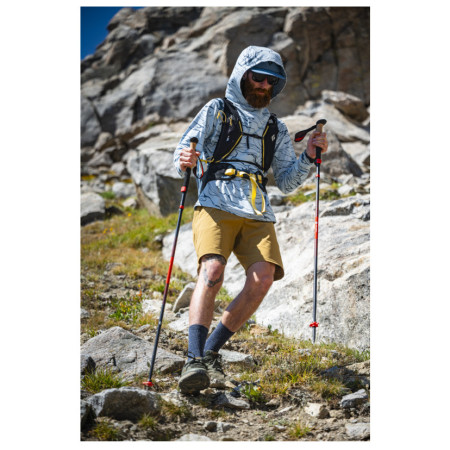 Трекінгові палиці Black Diamond Pursuit Carbon FLZ