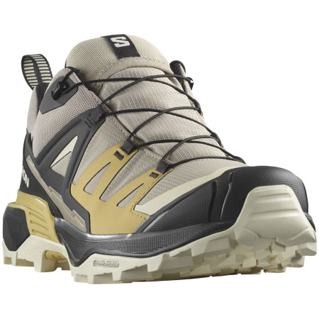Чоловічі туристичні черевики Salomon X Ultra 360 GTX