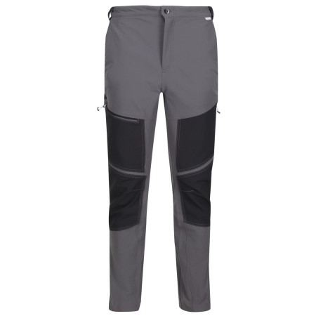 Чоловічі штани Regatta Questra IV