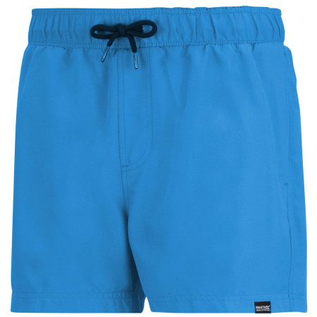Плавки Regatta Mawson Swim Shorts III