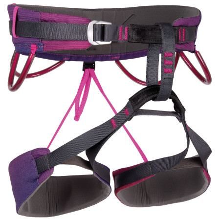 Альпіністська система Camp Energy Janja