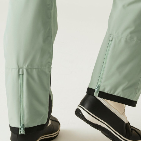 Жіночі штани Dare 2b Ice Pant