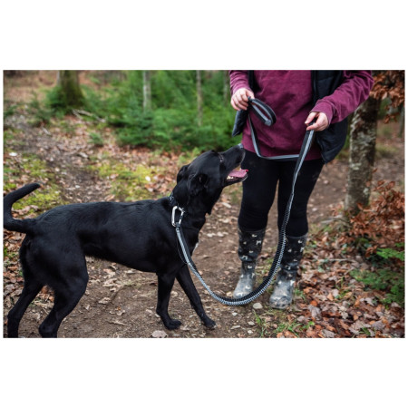 Повідець з амортизатором Mountain Paws Shock Absorber Dog Lead