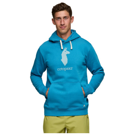 Чоловіча толстовка Cotopaxi Cotopaxi Llama Pullover Hoodie