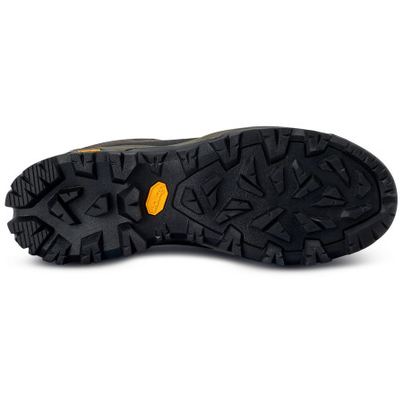 Чоловічі черевики Regatta Blake Low