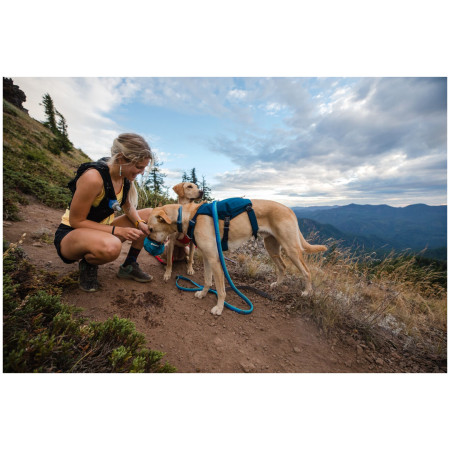 Шлея для собаки Ruffwear Switchbak™ Harness