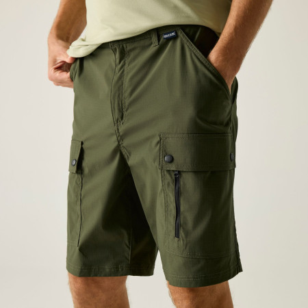 Чоловічі шорти Regatta Arlery Shorts