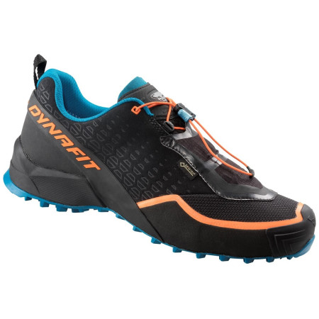 Чоловічі черевики Dynafit Speed Mtn Gtx чорний/синій
