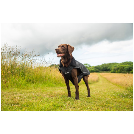 Дощовик для собаки Mountain Paws Fleece-Lined Dog Raincoat