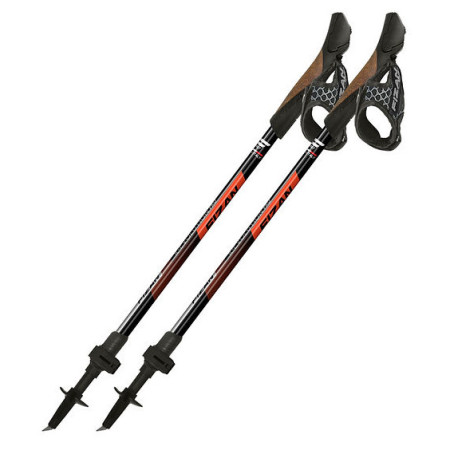 Палиці для скандинавської ходьби Fizan R-Evolution Pro