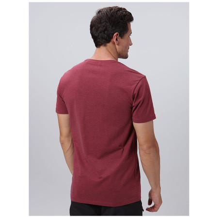 Чоловіча футболка Loap Bohem