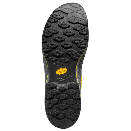 Чоловіче взуття La Sportiva TX4 Evo