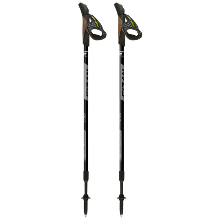 Палиці Fizan NW Speed