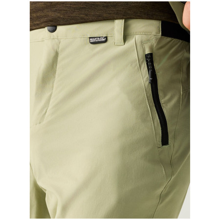 Чоловічі штани Regatta Anti-Insect Travel Light Z/O Trousers