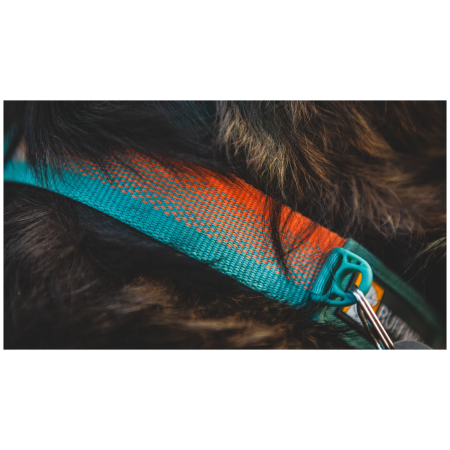 Нашийник для собаки Ruffwear Front Range™ Collar