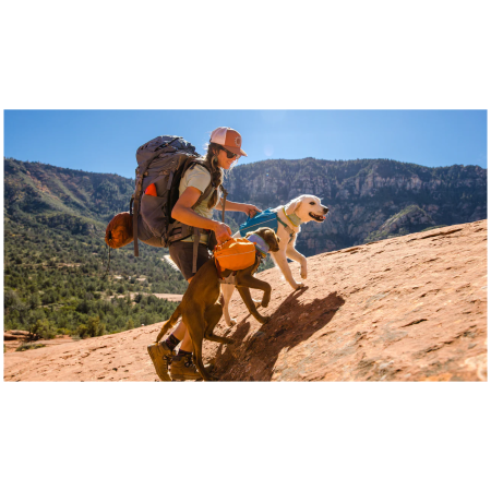 Рюкзак для собаки Ruffwear Approach™ Pack