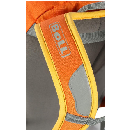 Дитячий рюкзак Boll Roo 12 Birds