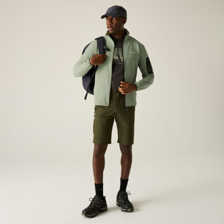 Чоловіча толстовка Regatta Baslinn