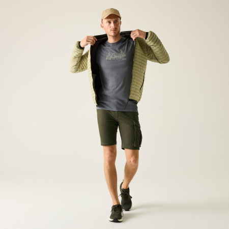 Чоловічі шорти Regatta Bendrick Shorts